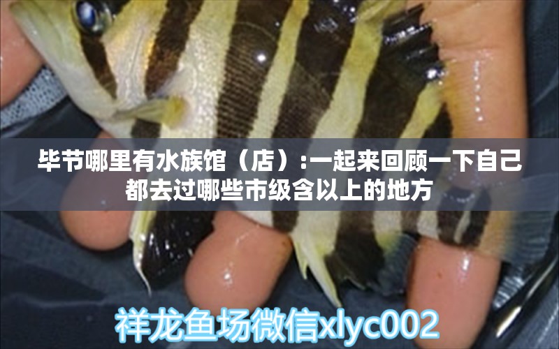 毕节哪里有水族馆（店）:一起来回顾一下自己都去过哪些市级含以上的地方