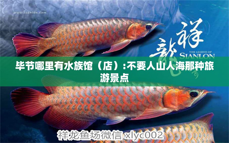 毕节哪里有水族馆（店）:不要人山人海那种旅游景点