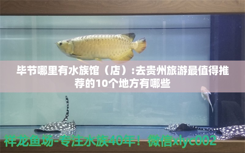 毕节哪里有水族馆（店）:去贵州旅游最值得推荐的10个地方有哪些