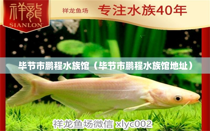 毕节市鹏程水族馆（毕节市鹏程水族馆地址） 全国水族馆企业名录