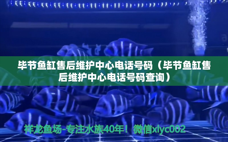 毕节鱼缸售后维护中心电话号码（毕节鱼缸售后维护中心电话号码查询） 其他品牌鱼缸