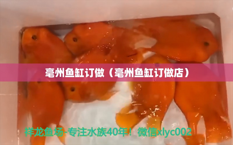 毫州鱼缸订做（毫州鱼缸订做店）