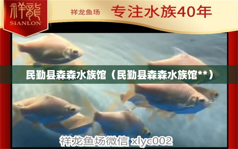 民勤县森森水族馆（民勤县森森水族馆**） 全国水族馆企业名录