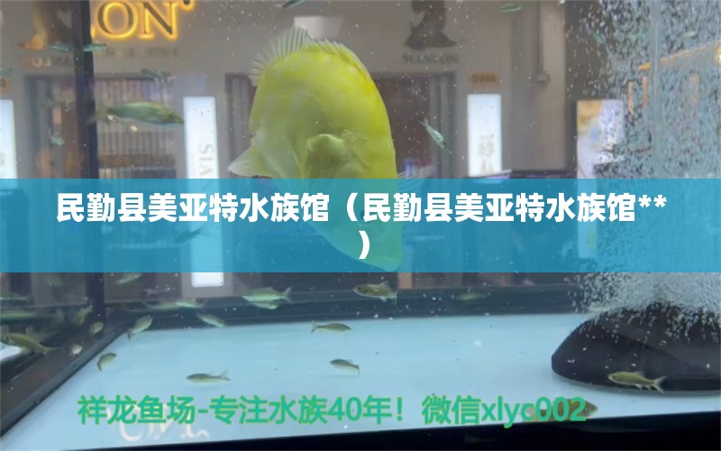 民勤县美亚特水族馆（民勤县美亚特水族馆**）