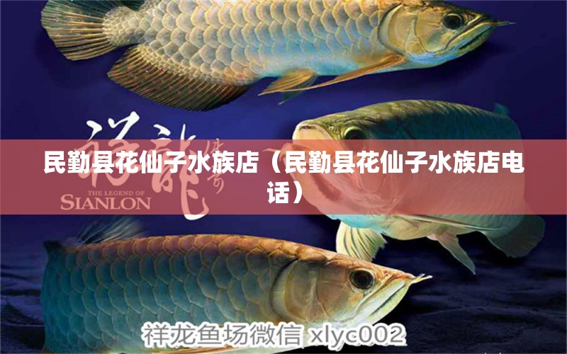 民勤县花仙子水族店（民勤县花仙子水族店电话）