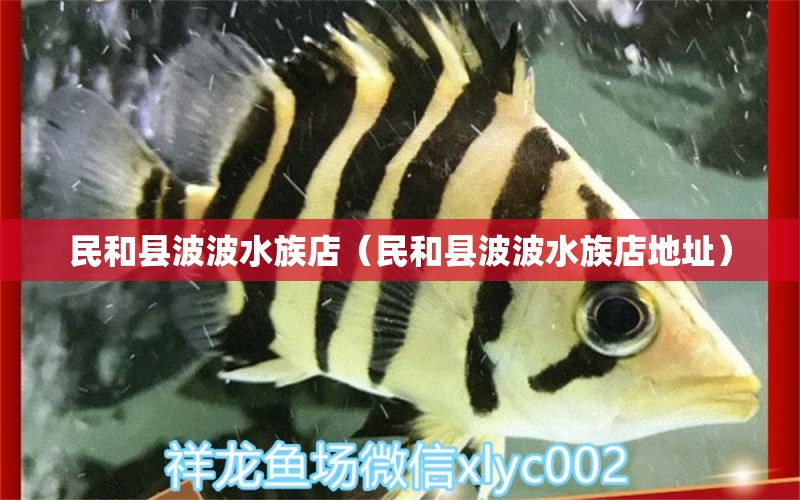 民和县波波水族店（民和县波波水族店地址）