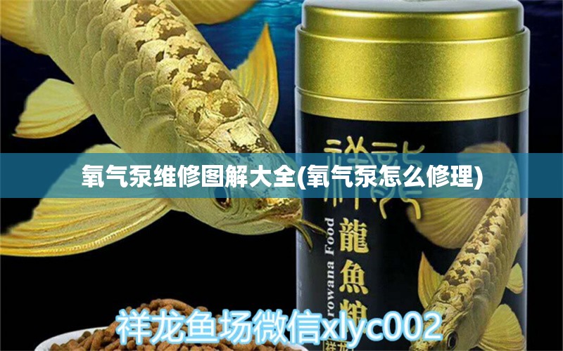 氧气泵维修图解大全(氧气泵怎么修理) 观赏虾蟹等饲料