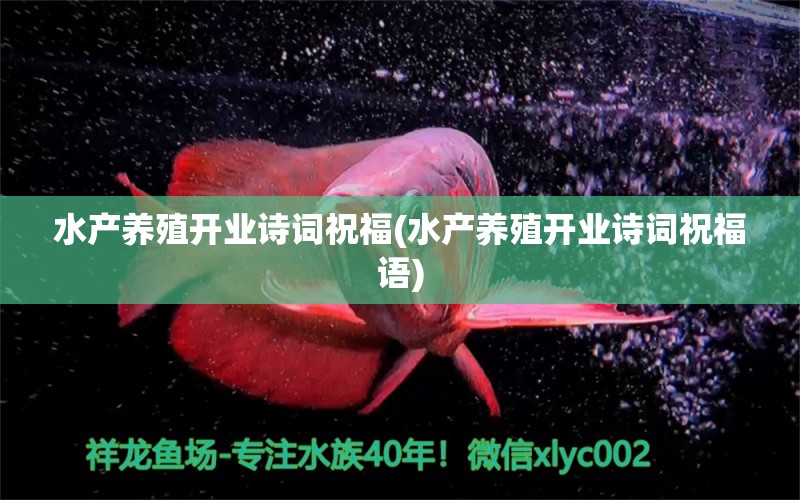 水产养殖开业诗词祝福(水产养殖开业诗词祝福语) 元宝凤凰鱼专用鱼粮