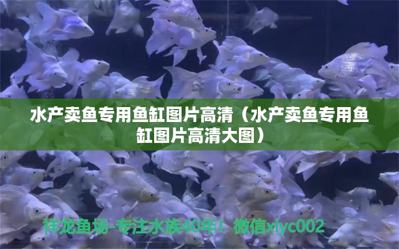 水产卖鱼专用鱼缸图片高清（水产卖鱼专用鱼缸图片高清大图）