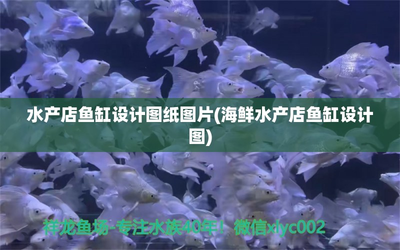 水产店鱼缸设计图纸图片(海鲜水产店鱼缸设计图) 白子银版鱼苗