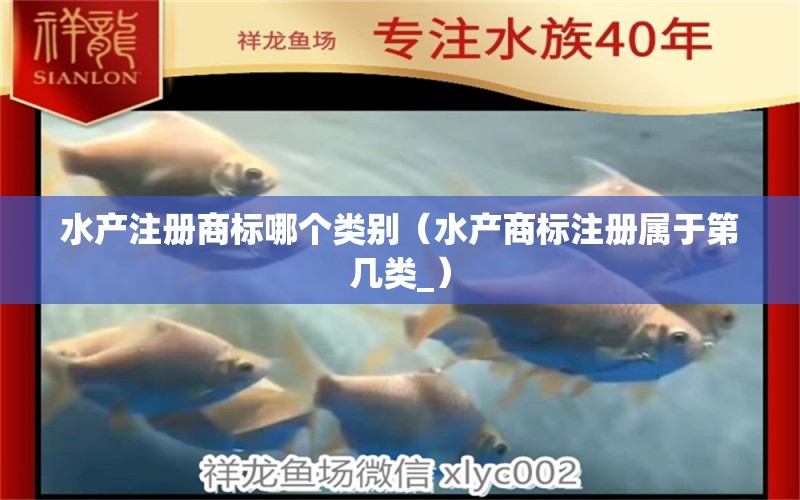 水产注册商标哪个类别（水产商标注册属于第几类_） 金头过背金龙鱼 第1张