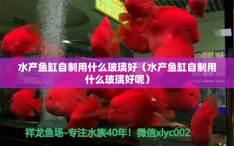 水产鱼缸自制用什么玻璃好（水产鱼缸自制用什么玻璃好呢）