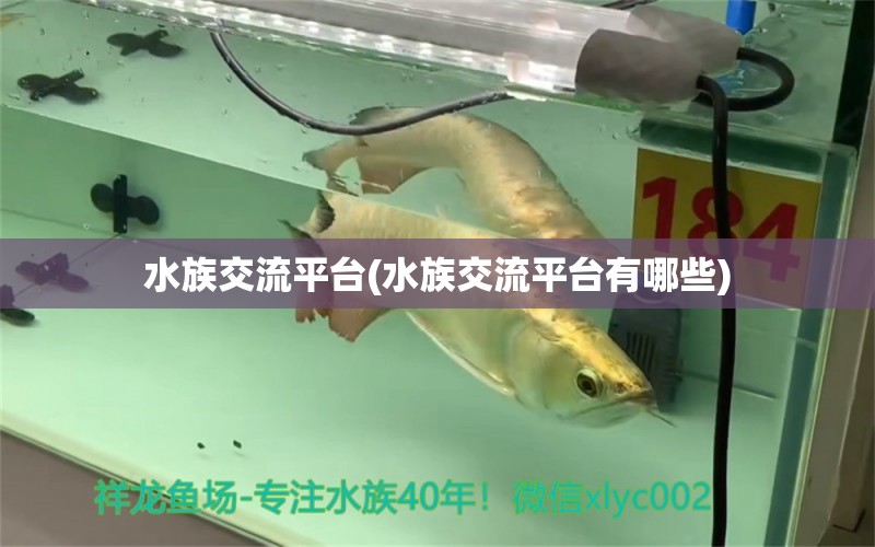 水族交流平台(水族交流平台有哪些)