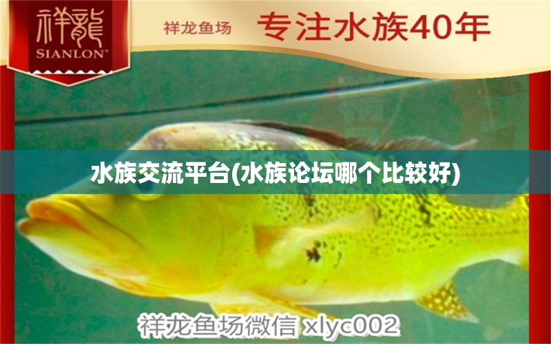 水族交流平台(水族论坛哪个比较好)