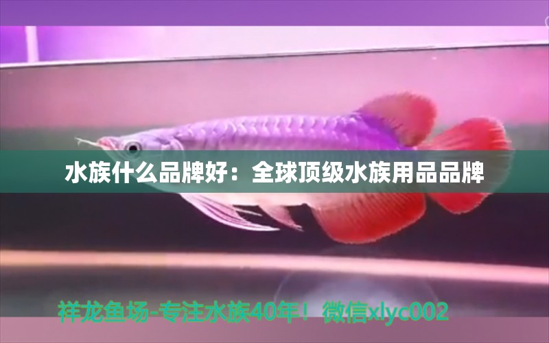 水族什么品牌好：全球顶级水族用品品牌