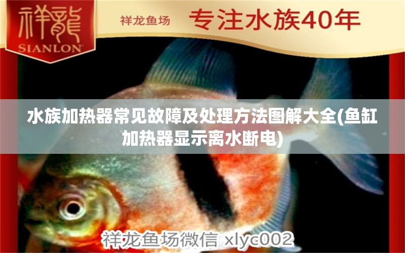 水族加热器常见故障及处理方法图解大全(鱼缸加热器显示离水断电) 纯血皇冠黑白魟鱼