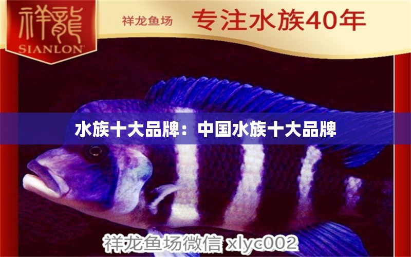 水族十大品牌：中国水族十大品牌