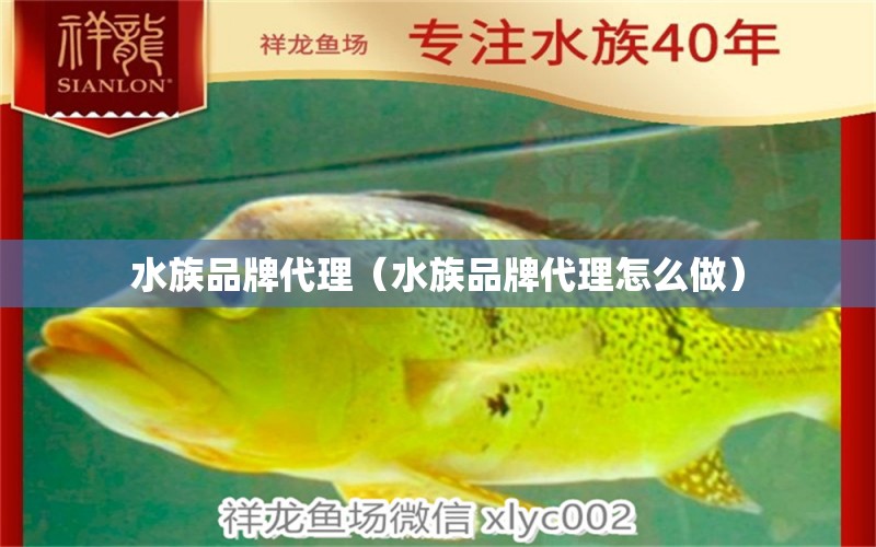 水族品牌代理（水族品牌代理怎么做）