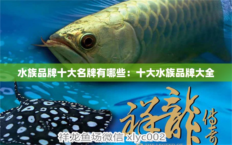 水族品牌十大名牌有哪些：十大水族品牌大全