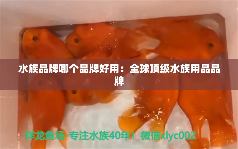 水族品牌哪个品牌好用：全球顶级水族用品品牌