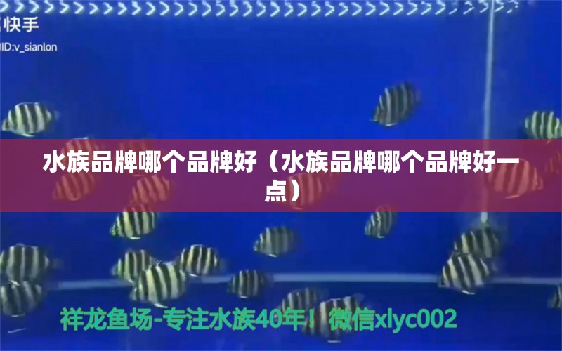 水族品牌哪个品牌好（水族品牌哪个品牌好一点） 水族品牌