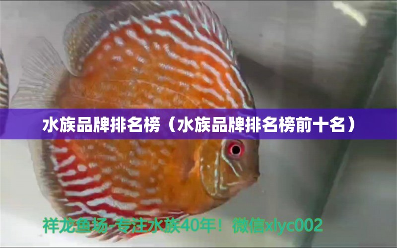 水族品牌排名榜（水族品牌排名榜前十名） 水族品牌