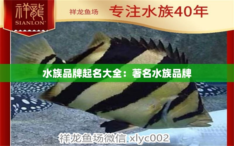 水族品牌起名大全：著名水族品牌