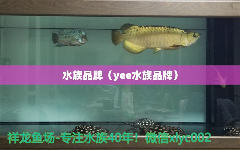 水族品牌（yee水族品牌）