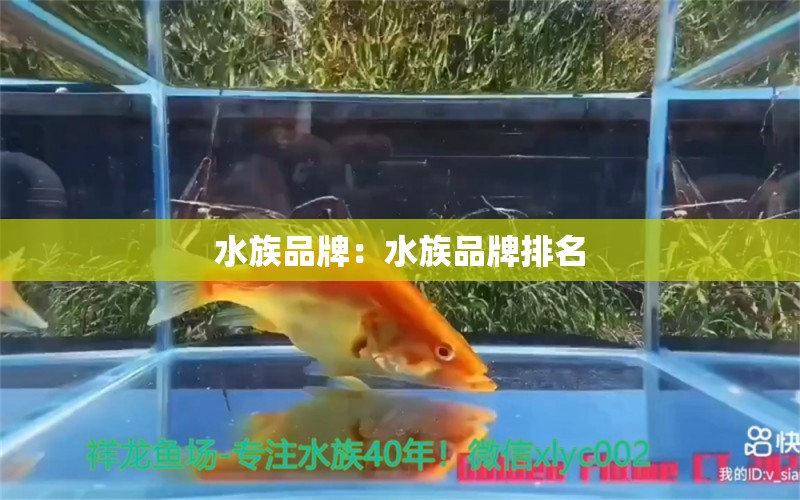 水族品牌：水族品牌排名