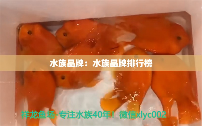 水族品牌：水族品牌排行榜