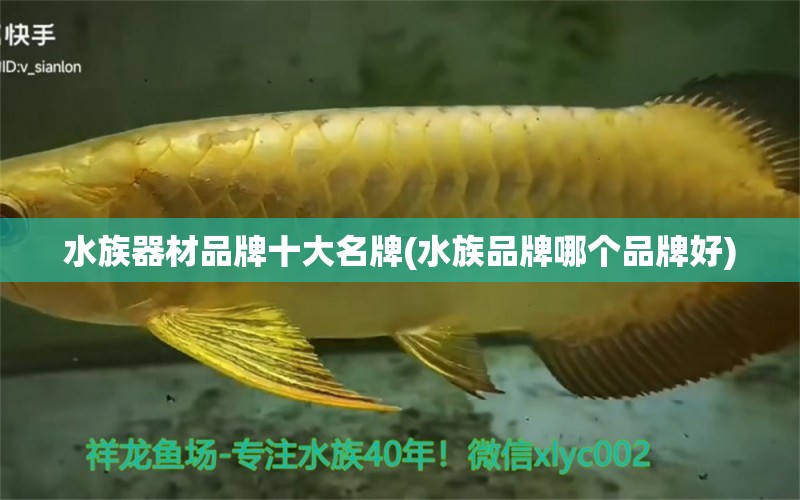 水族器材品牌十大名牌(水族品牌哪个品牌好) 水族品牌 第1张