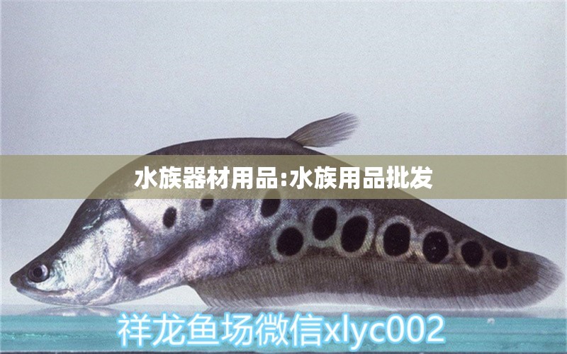 水族器材用品:水族用品批发