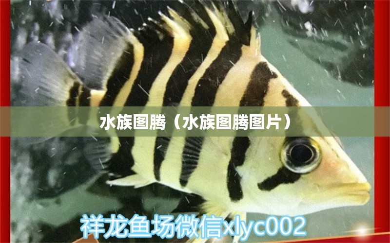 水族图腾（水族图腾图片）