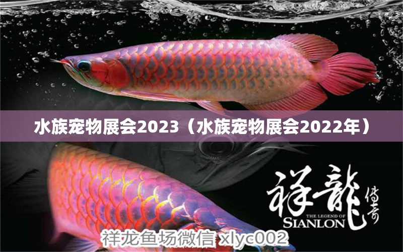 水族宠物展会2023（水族宠物展会2022年）