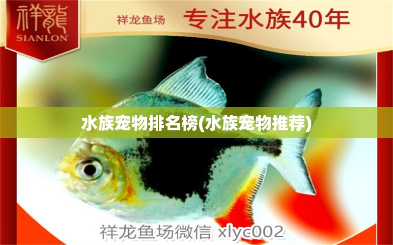 水族宠物排名榜(水族宠物推荐)