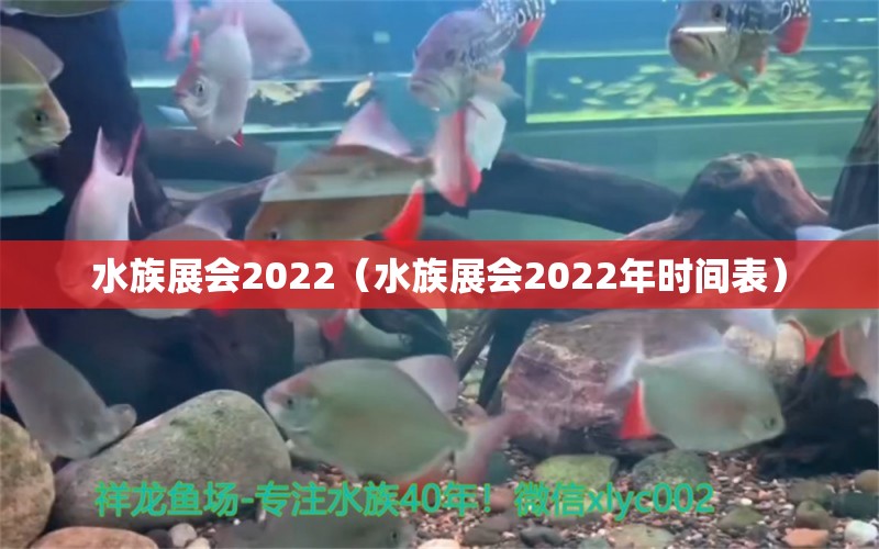 水族展会2022（水族展会2022年时间表） 水族展会