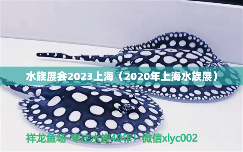 水族展会2023上海（2020年上海水族展）