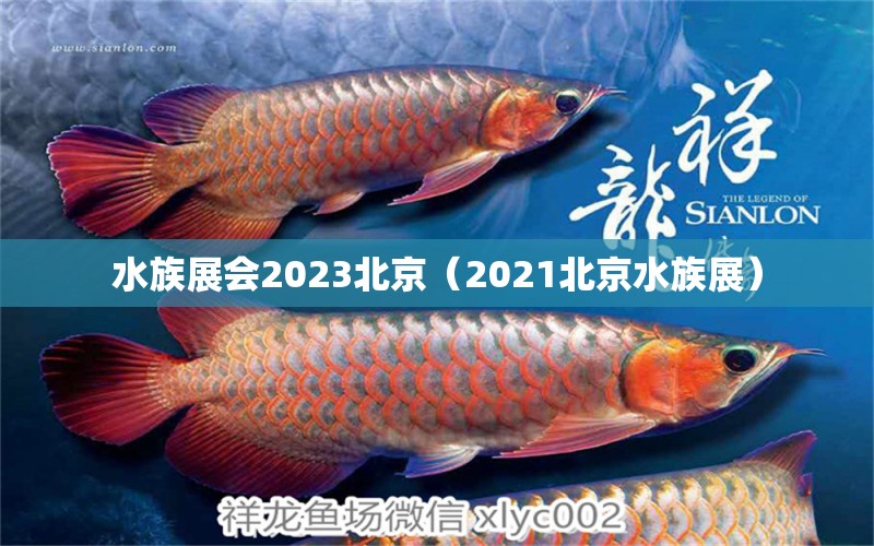 水族展会2023北京（2021北京水族展）