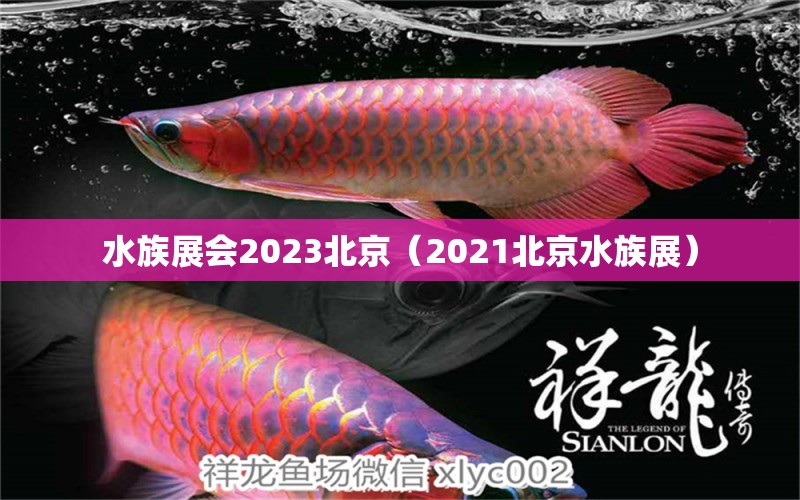 水族展会2023北京（2021北京水族展） 水族展会