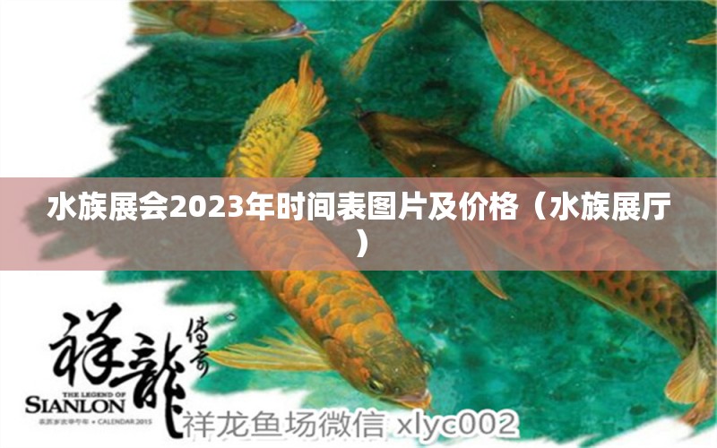 水族展会2023年时间表图片及价格（水族展厅）