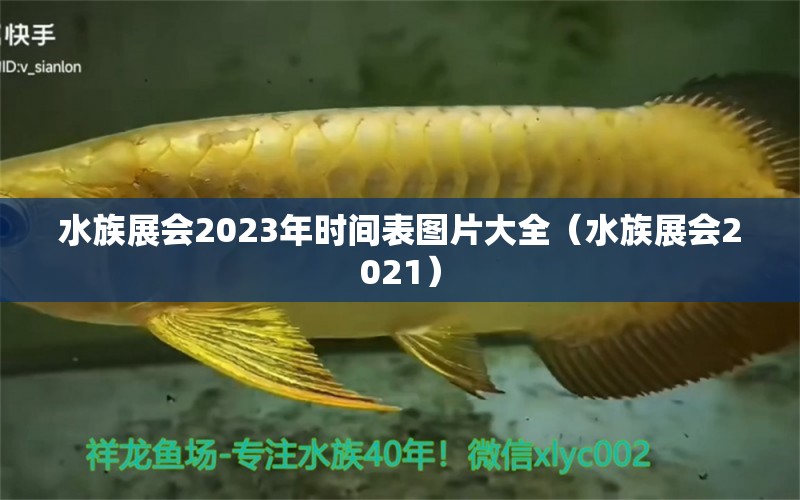 水族展会2023年时间表图片大全（水族展会2021） 水族展会