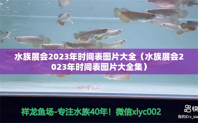 水族展会2023年时间表图片大全（水族展会2023年时间表图片大全集）