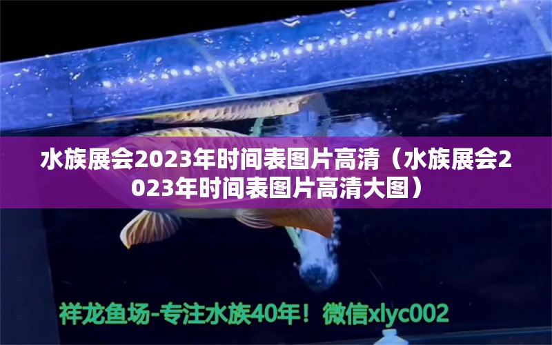 水族展会2023年时间表图片高清（水族展会2023年时间表图片高清大图）