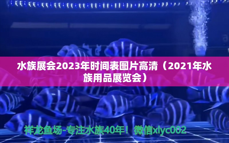 水族展会2023年时间表图片高清（2021年水族用品展览会）