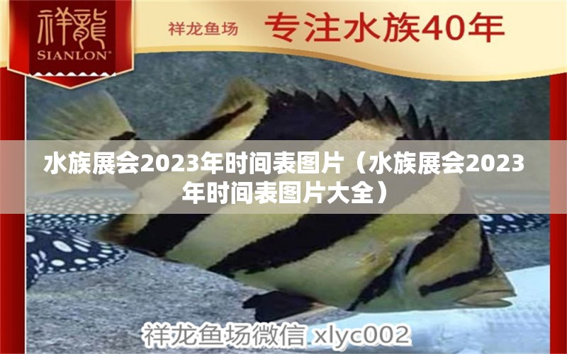 水族展会2023年时间表图片（水族展会2023年时间表图片大全） 水族展会