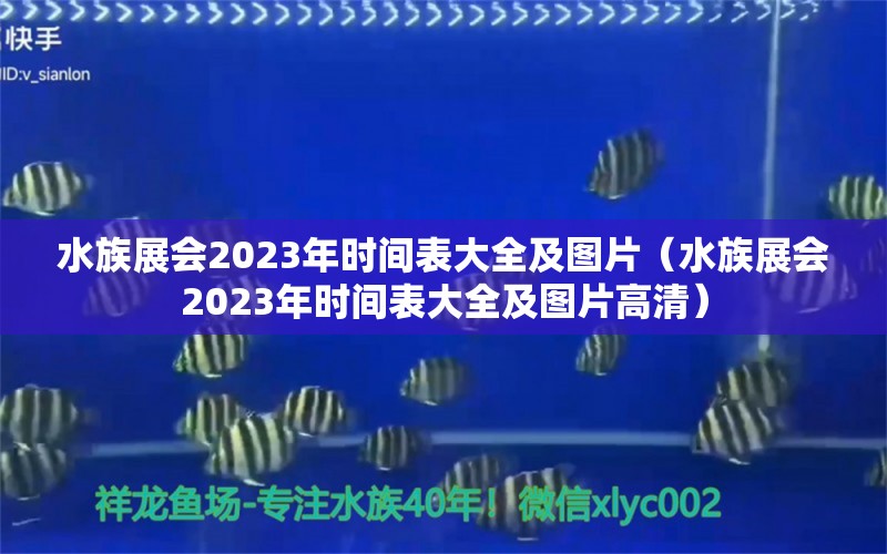 水族展会2023年时间表大全及图片（水族展会2023年时间表大全及图片高清）