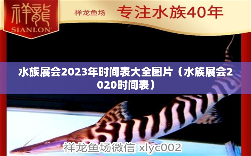 水族展会2023年时间表大全图片（水族展会2020时间表）