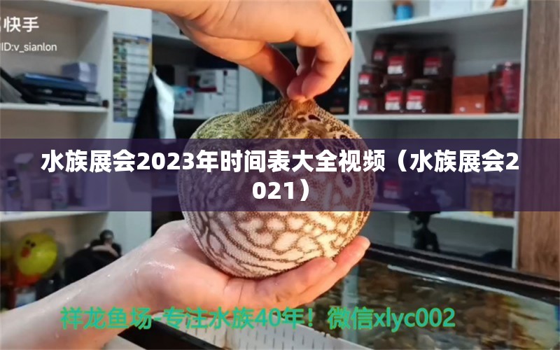 水族展会2023年时间表大全视频（水族展会2021）