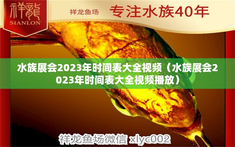 水族展会2023年时间表大全视频（水族展会2023年时间表大全视频播放） 水族展会