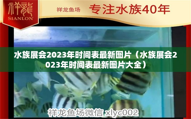 水族展会2023年时间表最新图片（水族展会2023年时间表最新图片大全）